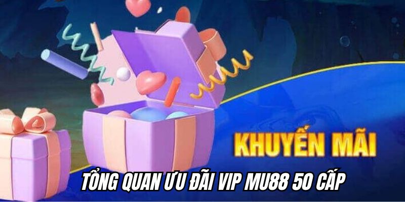 Tổng quan về ưu đãi Vip